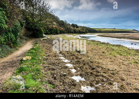 Die penpol Wanderweg Reitweg reitweg am Ufer des Fluss Gannel in Newquay in Cornwall. Stockfoto