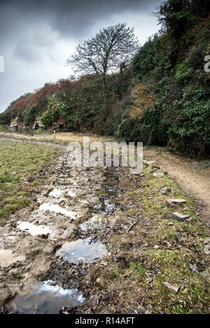 Die penpol Pfad auf dem Fluss Gannel in Newquay Cornwall. Stockfoto