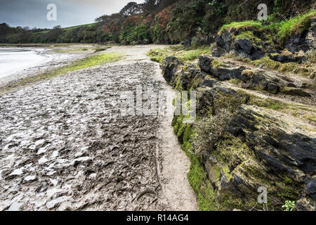 Die Schlammigen Penpol Wanderweg reitweg Reitweg auf dem Fluss Gannel in Newquay in Cornwall. Stockfoto