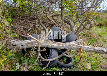 Langfristige Umweltbelastung der schuttplatz der Altreifen und Müll in der Landschaft gedumpten Stockfoto