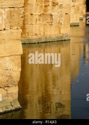 Puente del Mar. Jardines del Turia, Turia Flusses. Valencia, Spanien Stockfoto