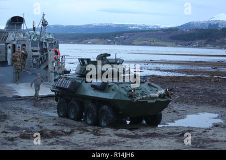 Us-Marines mit 2 Assault Amphibian Bataillon aus dem Landing Craft Luftkissen Fahrzeug in einem Bradley Fighting Fahrzeug hält eine Position während der Übung Trident Zeitpunkt 18. Oktober 30, in Alvund, Norwegen 2018 aussteigen. Die multi-nationale Übung ist die größte NATO-Übung seit 2015 und umfasst mehr als 50.000 militärische Mitglieder aus 31 Ländern. Stockfoto