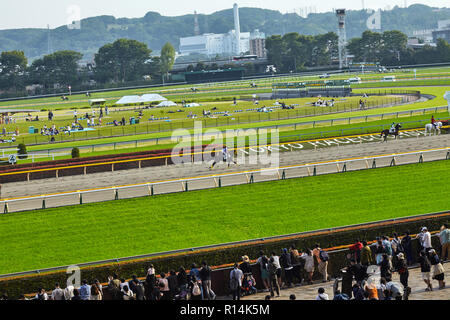 Tokio, Japan. April 232, 2018. Thoroughbred hoкses in Bewegung mit Jockeys an der Ziellinie der Tokyo Racecourse. Stockfoto