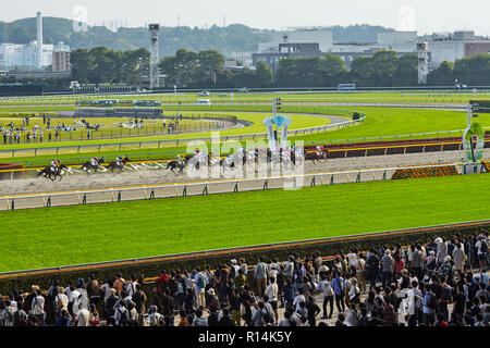 Japan, Tokio. 22 April. Allgemeine Ansicht der Parade Ring an der Tokyo Racecourse, Fuchu, Tokio, Japan. wit Demonstration alle Pferde partitisipatio Stockfoto