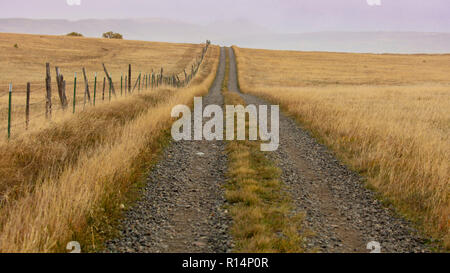 Oktober 1, 2018, Hastings Mesa, Colorado, USA - Dirt Road an der Hastings Mesa führt zu Wildnis und Wiesen, Ridgway Colorado Stockfoto