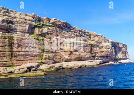 Blick auf die Felsen und Vögel im Bonaventure Island, in der Nähe von Perce, an der Spitze der Halbinsel Gaspé, Quebec, Kanada Stockfoto