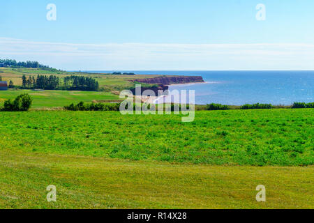 Landschaft und Landschaft im westlichen Kap, Prince Edward Island, Kanada Stockfoto