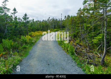 Blick auf die Skyline Trail, im Cape Breton Highlands National Park, Nova Scotia, Kanada Stockfoto