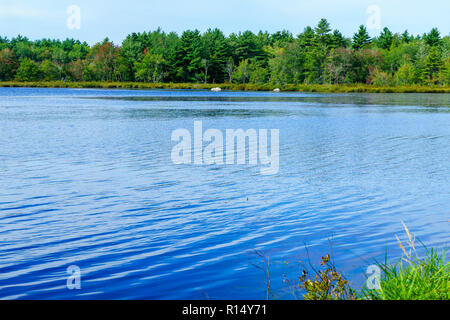 Blick auf die Schlange See, Kejimkujik National Park, Nova Scotia, Kanada Stockfoto