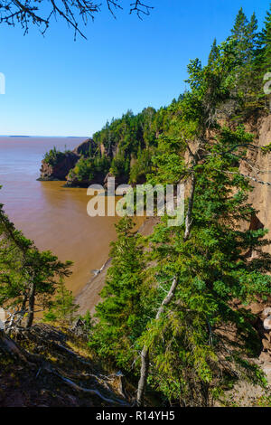 Anzeigen von Gezeiten in Hopewell Rocks, New Brunswick, Kanada steigende Stockfoto