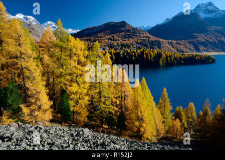 Silsersee und Piz da la Margna, Oberengadin, Engadin, Schweiz, Europa Stockfoto