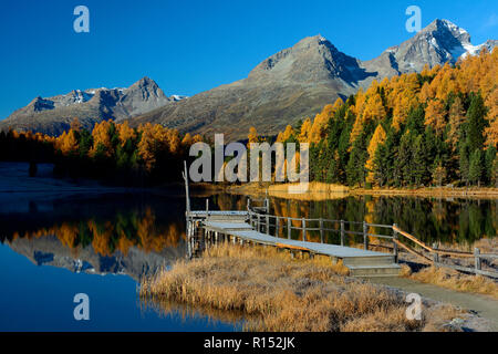 Stazer siehe St. Moritz, Engadin, Oberengadin, Kanton Graubünden, Schweiz, Europa, Lej da Staz Stockfoto