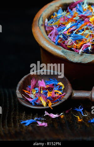 Bluetenblaetter in Holzloeffel, essbare Blueten, Centaurea cyanus, Calendula officinalis, Helianthus annuus Stockfoto