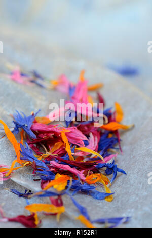 Bluetenblaetter in Holzloeffel, essbare Blueten, Centaurea cyanus, Calendula officinalis, Helianthus annuus Stockfoto