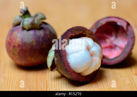 Lila mangosteen, Garcinia mangostana Stockfoto