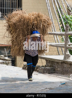 Chinesische ethnische Minderheit Dame über ihr tägliches Leben Tragen schwerer Querhölzer aus Stroh. China Stockfoto