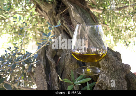 Glas Olivenöl extra vergine und Olive Tree Stockfoto