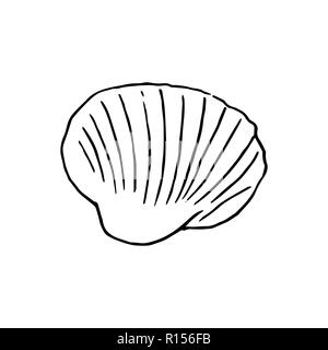 Satz von verschiedenen schönen Meer Muschelschalen, Skizze Abbildung. isoliert. Realistische handgezeichnete Skizzen von Muscheln. Ozean-Fauna. aquatische. Rapana, Stock Vektor