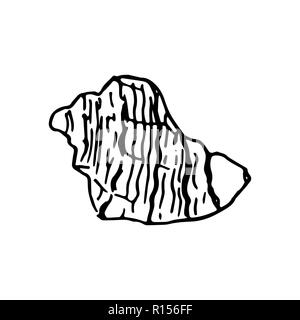 Satz von verschiedenen schönen Meer Muschelschalen, Skizze Abbildung. isoliert. Realistische handgezeichnete Skizzen von Muscheln. Ozean-Fauna. aquatische. Rapana, Stock Vektor