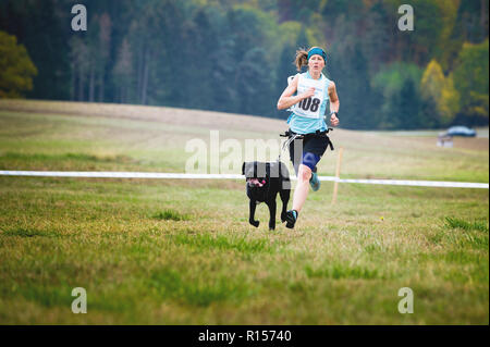 Deutschland, Oberndorf, Geslau - NOVEMBER 3, 2018: Sled Dog mit junge Frau, Mushing Off Snow Cross Country Rennen in typischen herbstlichen Wetter. Können Stockfoto