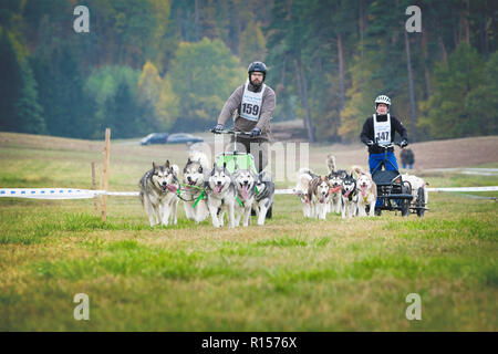 Deutschland, Oberndorf, Geslau - NOVEMBER 3, 2018: Zwei Karren durch die Schlittenhunde, Mushing Off Snow Cross Country Rennen in typischen herbstlichen Wetter gezogen. Laut P Stockfoto