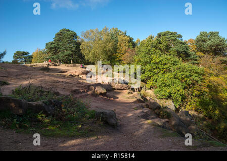 Sandsteinfelsen in der Stürmischen, Alderley Edge, Cheshire, England. Stockfoto