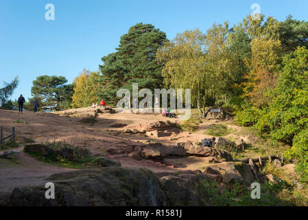 Sandsteinfelsen in der Stürmischen, Alderley Edge, Cheshire, England. Stockfoto