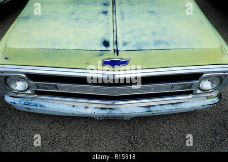 Die Front eines alten Chevrolet Pick-up Truck. Stockfoto