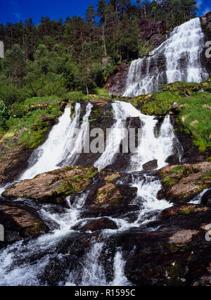 Norwegen, Rogaland, Svandalsfossen, Wasserfall Kaskadierung über gestufte Felsen umgeben von Bäumen in der Nähe der Stadt Sauda. Stockfoto