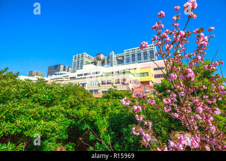 Tokyo, Japan - 19. April 2017: Fuji Television Headquarters in Odaiba, Minato Bezirk mit Zweig der Kirschblüte im Vordergrund. Frühling Landschaft. Symbol und Wahrzeichen der Insel Odaiba. Stockfoto