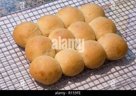 Slider Brötchen, hausgemacht, gebacken, auf dem Kühlgitter aufliegen Stockfoto