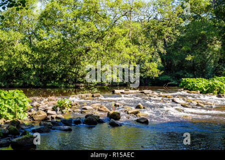 Felsen und Steine im Wasser in einem flachen Bereich des Flusses Derwent, in der Nähe von Hathersage, Derbyshire, Peak District, England, Großbritannien Stockfoto