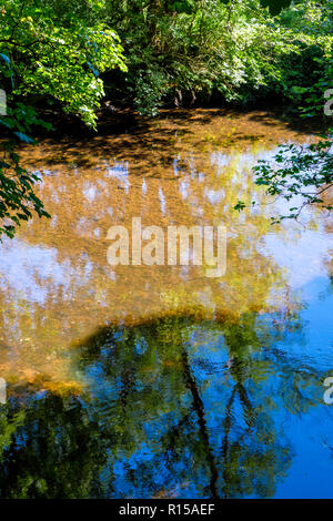 Sonnenlicht durch Bäume überragt die flachen Abschnitt des Flusses Derwent, in der Nähe von Hathersage, Derbyshire, Peak District, England, Großbritannien Stockfoto