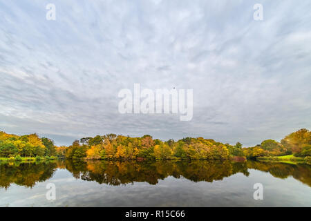 Vögel fliegen über die Bäume tragen der Herbst treibt auf dem ruhigen Wasser spiegelt Stockfoto