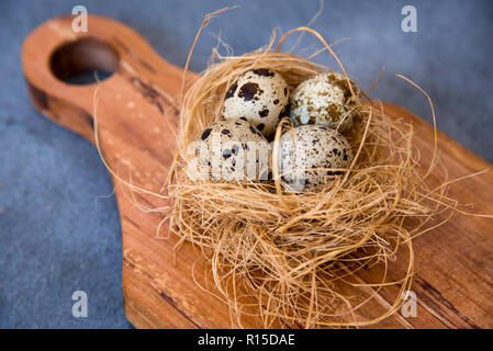 Wachtel Eier in einem Nest Stockfoto