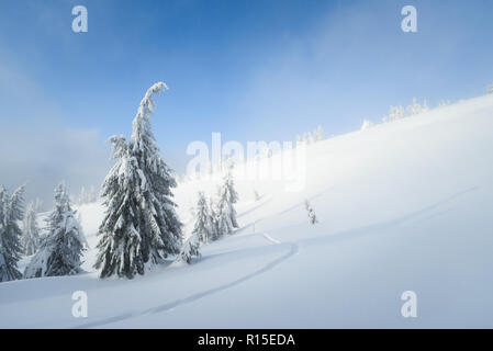 Wandern im Winter. Sonniges Wetter mit blauem Himmel und Nebel. Landschaft mit einem Trail und Bäume im Schnee Stockfoto