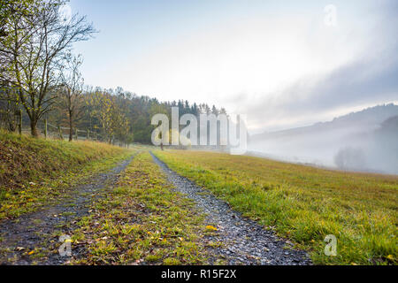 Titel führt zu einem Wald in einem nebligen Herbst Landschaft, Ulmen, West Eifel Volcanic Field, Rheinland, Deutschland, Europa Stockfoto