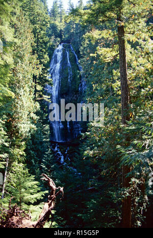 Untere Proxy fällt, Drei Schwestern Wildnis, Willamette National Forest, Oregon Stockfoto