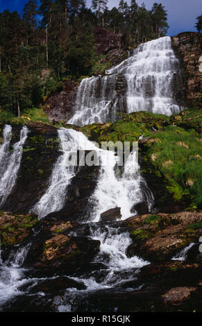 Norwegen, Rogaland, Svandalsfossen, Wasserfall in der Nähe der Stadt Sauda. Abgestufte Ebenen der Felsen mit mehreren Datenströmen weiß Wasser, das von Bäumen und Vegetation umgeben. Stockfoto