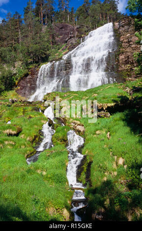 Norwegen, Rogaland, Svandalsfossen, Wasserfall in der Nähe der Stadt Sauda. White Water über abgestufte Ebenen von Felsen und durch die schmalen felsigen Couloirs im Vordergrund von Bäumen und Vegetation fließt. Stockfoto