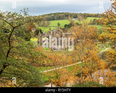 Die Ruinen von Bolton Priory aus der Sicht über den Fluss Wharfe im Herbst in Bolton Abbey Yorkshire Dales England Stockfoto