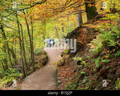 Wanderer auf einem Wanderweg in Strid Holz im Herbst in Bolton Abbey Yorkshire Dales England Stockfoto