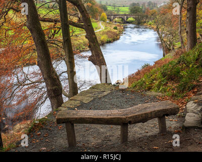 Bank an einem Aussichtspunkt mit Blick auf den River Wharfe und Aquädukt Fußgängerbrücke in Strid Holz Bolton Abbey Yorkshire Dales England Stockfoto