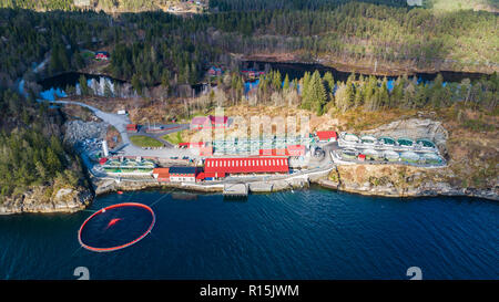 Junge Lachse fischen Farm in der Nähe von Bergen, Norwegen. Stockfoto