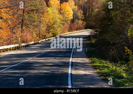 Malerische Aussicht auf eine neue Straße durch Bäume im Herbst Stockfoto