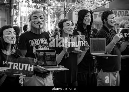 Tier rechte Demonstranten in San Francisco Stockfoto