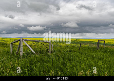 Alten Zaun und Feld gegen einen dramatischen Himmel im südlichen Alberta, Kanada Stockfoto