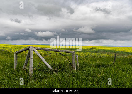 Alten Zaun und Feld gegen einen dramatischen Himmel im südlichen Alberta, Kanada Stockfoto