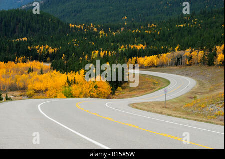 David Thompson Highway im Herbst, Abraham Lake Recreation Area, AB, Kanada Stockfoto