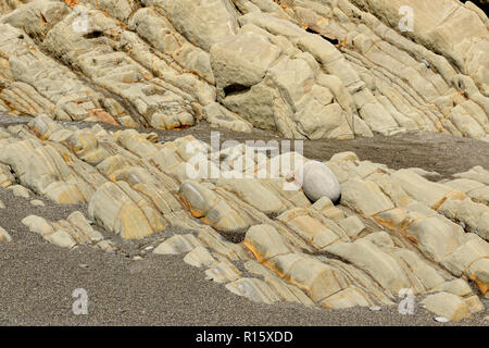 Polierte Felsen und Strand Kieselsteine am Strand #4 bei Ebbe, Olympic National Park, Washington, USA Stockfoto